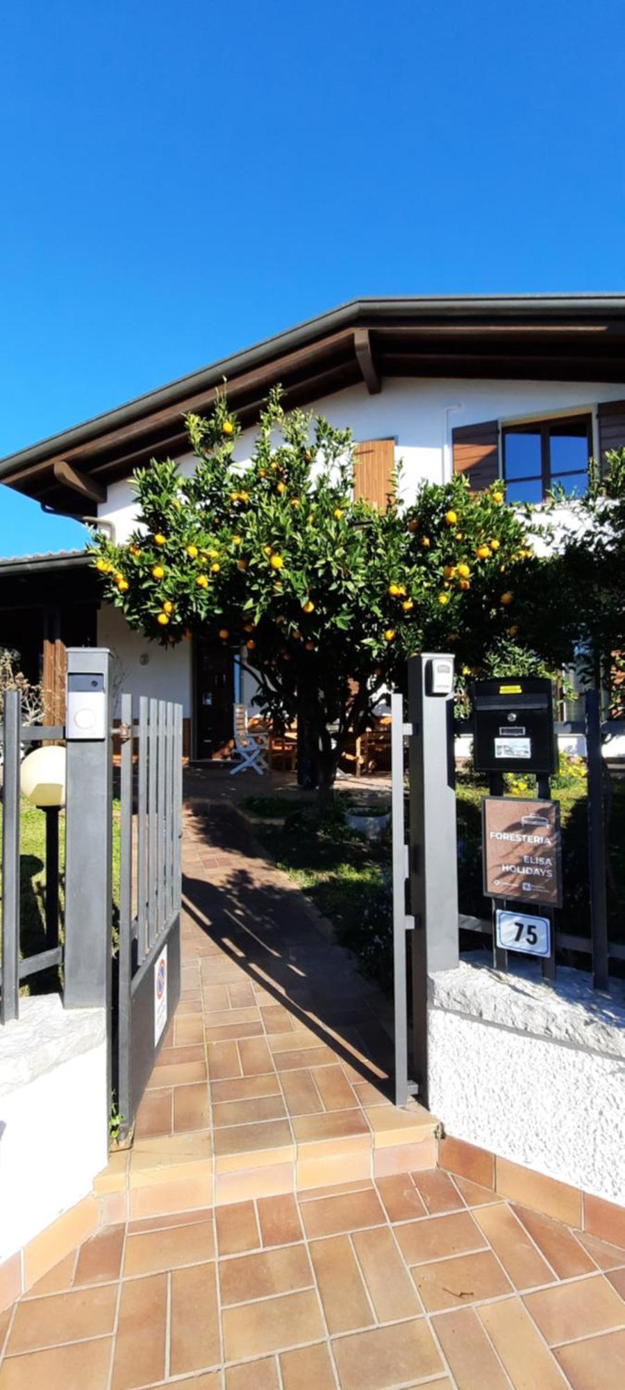 Elisa Holidays Apartments 푸에냐고 외부 사진